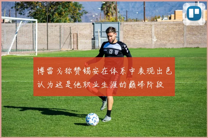 博雷戈称赞锡安在体系中表现出色认为这是他职业生涯的巅峰阶段